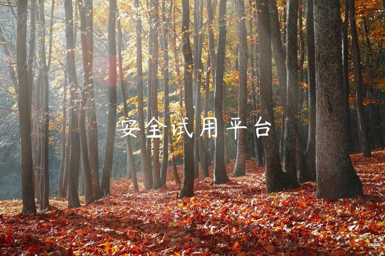 安全试用平台 安全试用平台