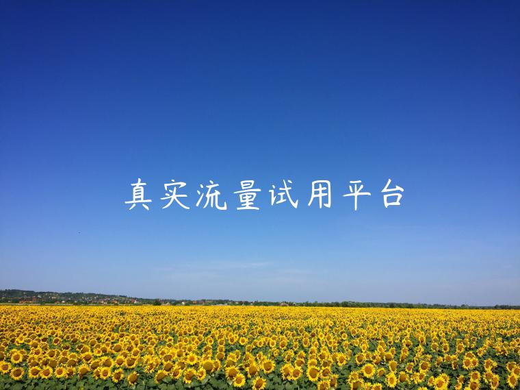 真实流量试用平台 真实流量试用平台