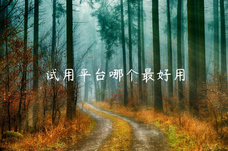 试用平台哪个最好用