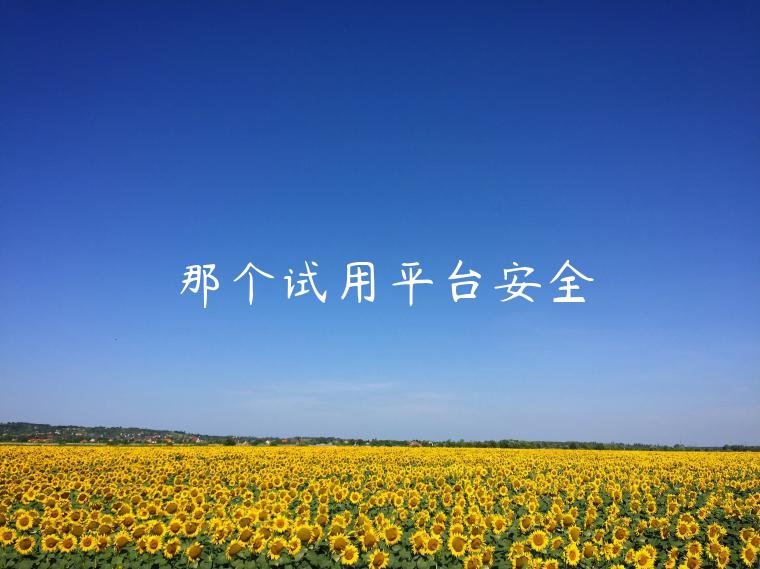 那个试用平台安全