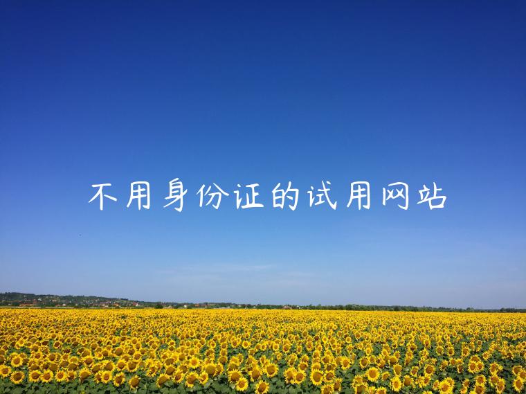 不用身份证的试用网站
