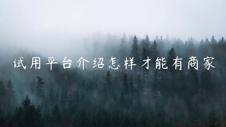 试用平台介绍怎样才能有商家