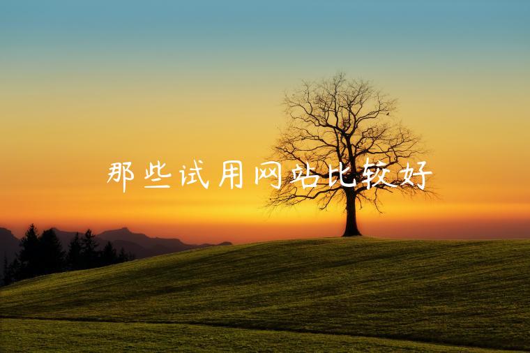 那些试用网站比较好