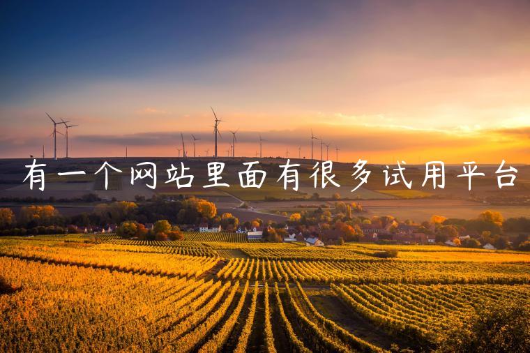 有一个网站里面有很多试用平台