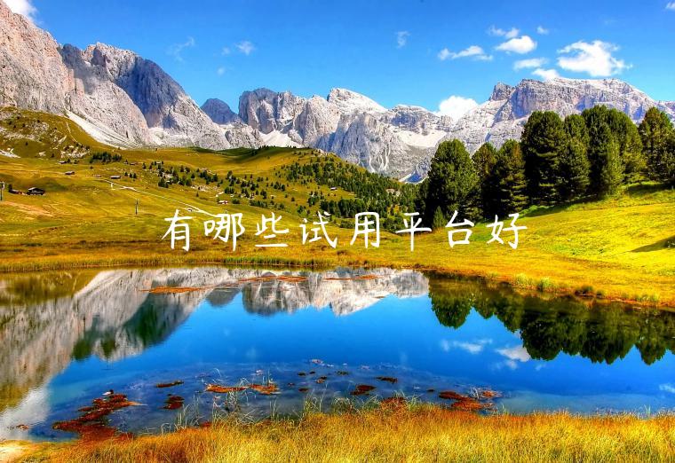 有哪些试用平台好