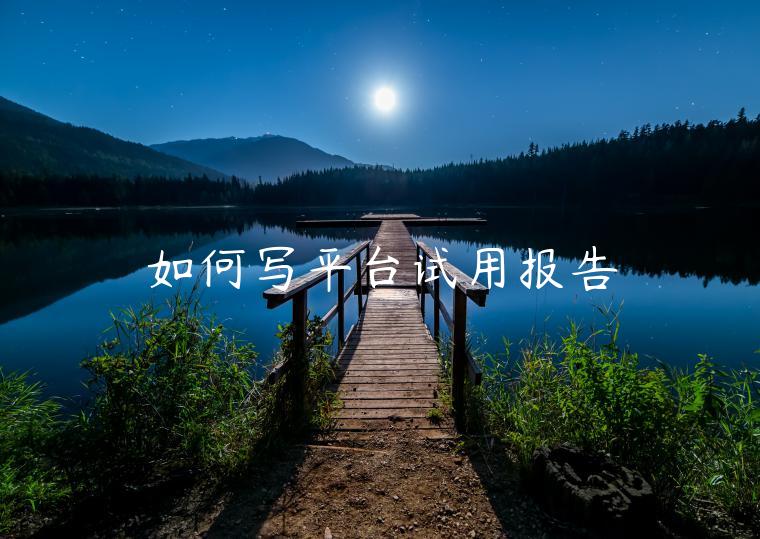 如何写平台试用报告