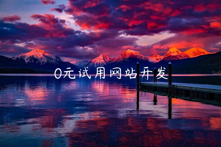 0元试用网站开发