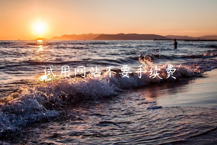 试用网站不要手续费