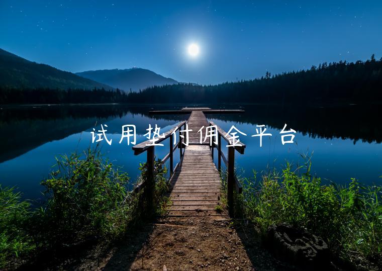 试用垫付佣金平台
