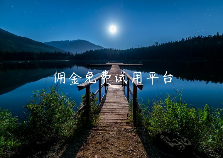 佣金免费试用平台