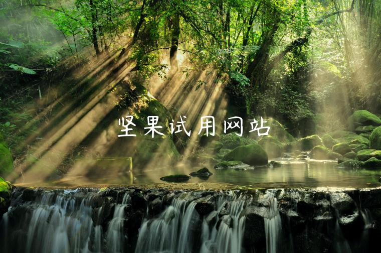 坚果试用网站 坚果试用网站