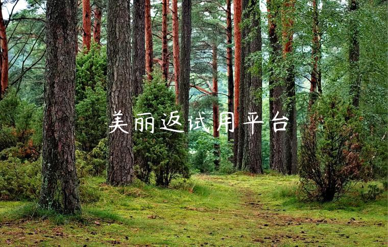 美丽返试用平台 美丽返试用平台
