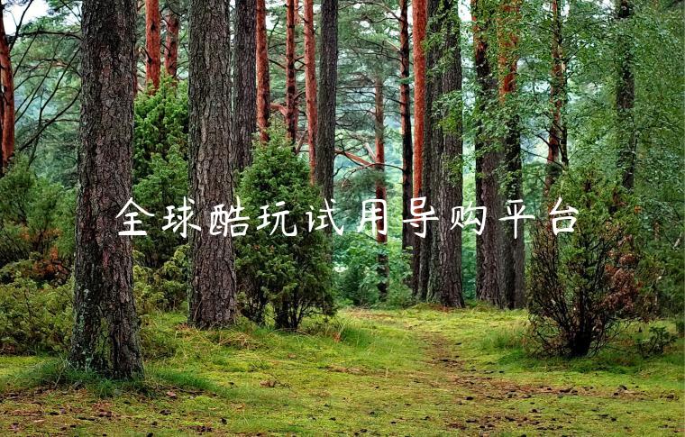 全球酷玩试用导购平台
