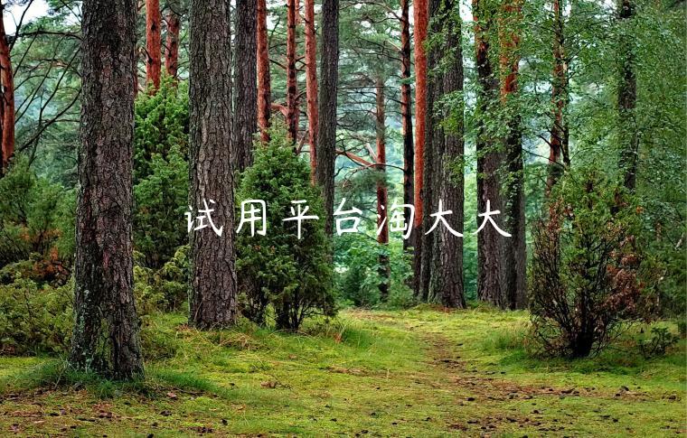 试用平台淘大大