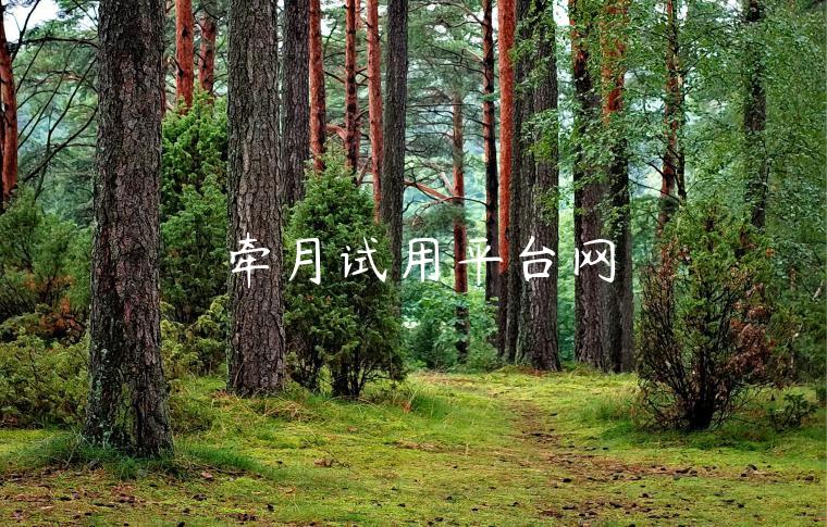 牵月试用平台网 牵月试用平台网