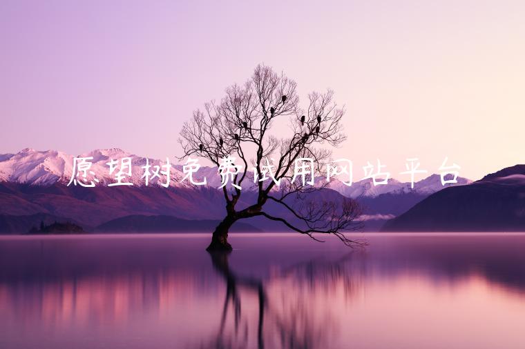 愿望树免费试用网站平台