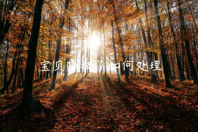 宝贝降权了如何处理 宝贝降权了如何处理