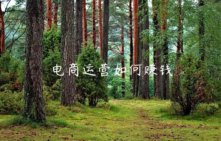 电商运营如何赚钱 电商运营如何赚钱