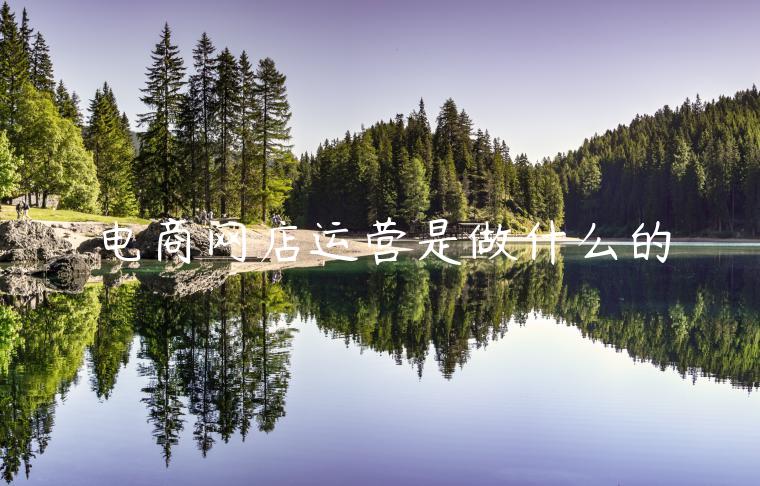 电商网店运营是做什么的