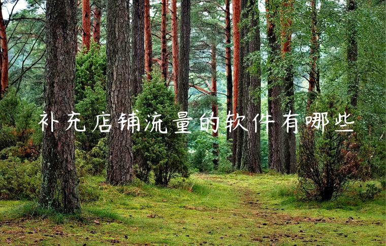 补充店铺流量的软件有哪些 补充店铺流量的软件有哪些