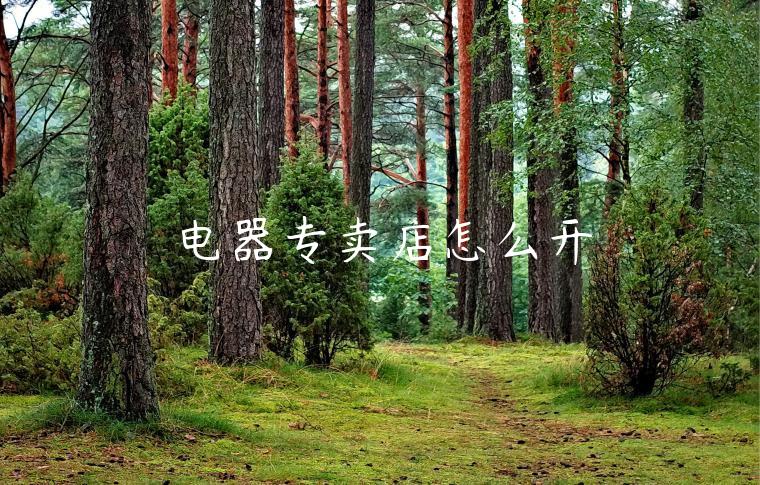 电器专卖店怎么开 电器专卖店怎么开