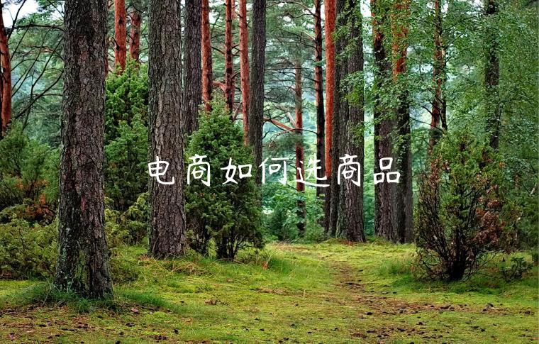 电商如何选商品 电商如何选商品