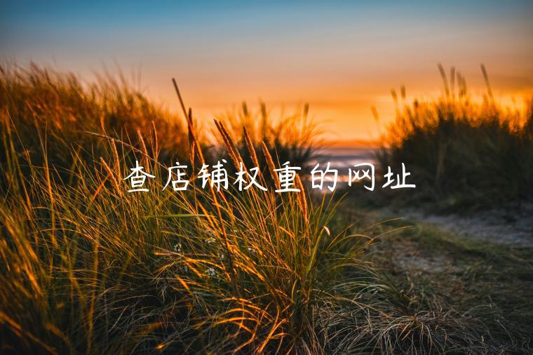 查店铺权重的网址