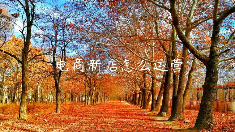 电商新店怎么运营 电商新店怎么运营