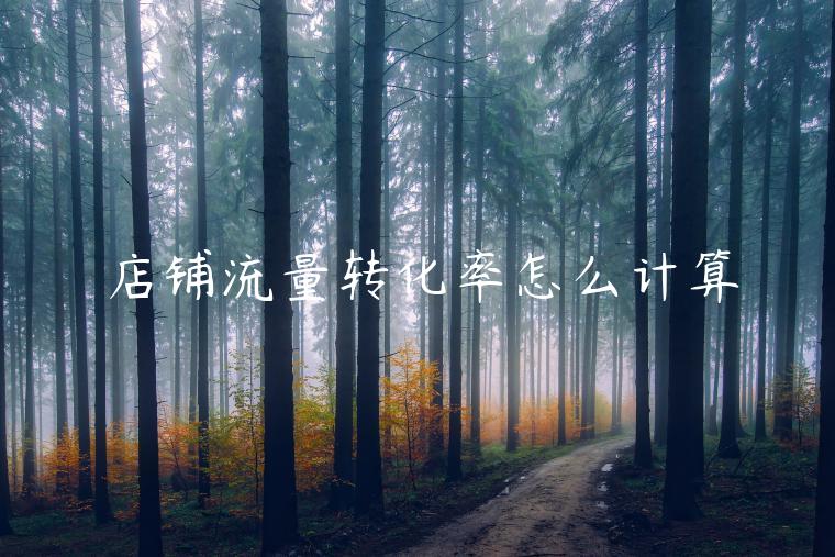 店铺流量转化率怎么计算 店铺流量转化率怎么计算