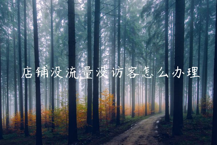 店铺没流量没访客怎么办理