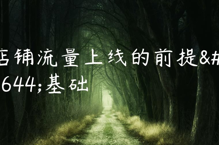 店铺流量上线的前提和基础