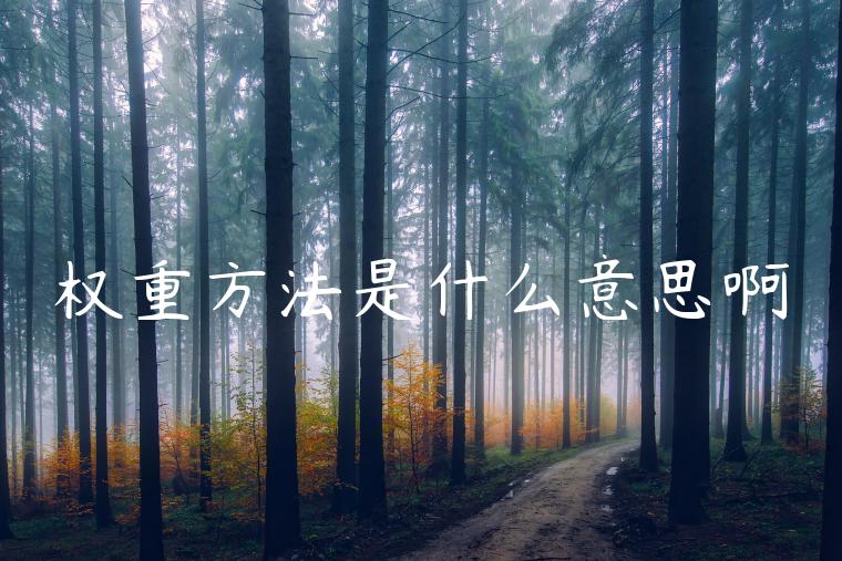 权重方法是什么意思啊