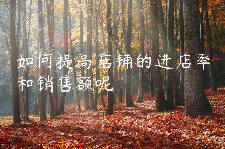 如何提高店铺的进店率和销售额呢
