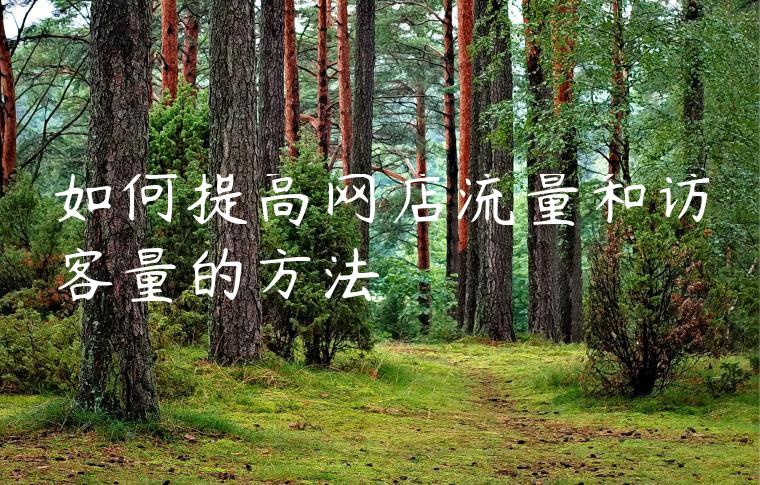 如何提高网店流量和访客量的方法