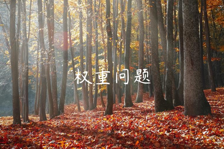 权重问题 权重问题