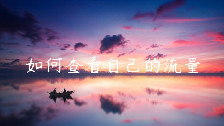 如何查看自己的流量