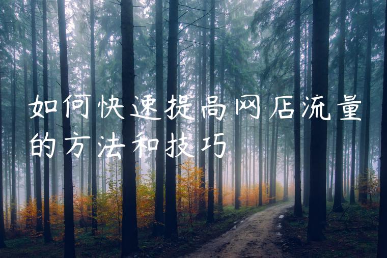 如何快速提高网店流量的方法和技巧
