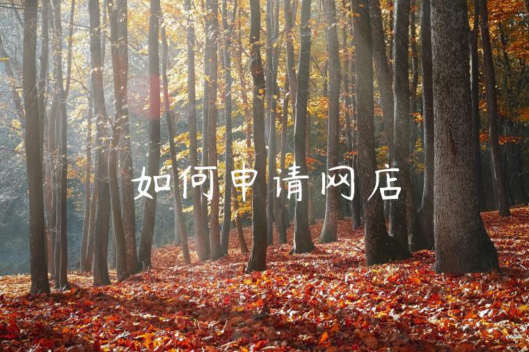 如何申请网店 如何申请网店