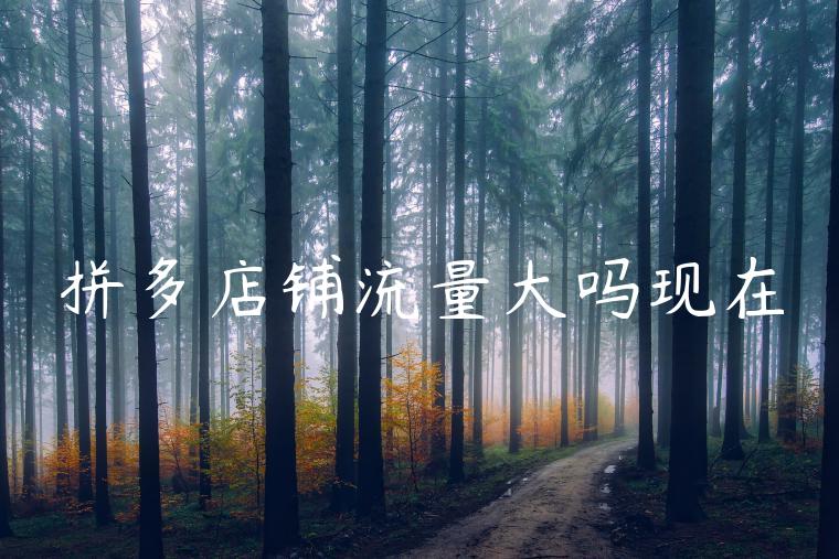 拼多店铺流量大吗现在 拼多店铺流量大吗现在