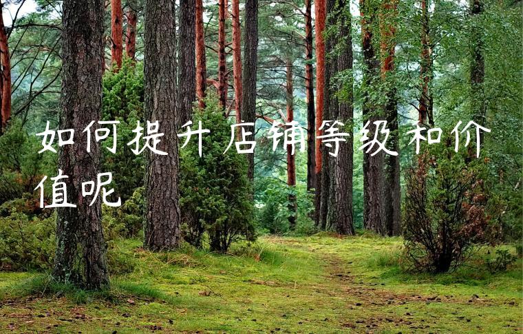 如何提升店铺等级和价值呢 如何提升店铺等级和价值呢