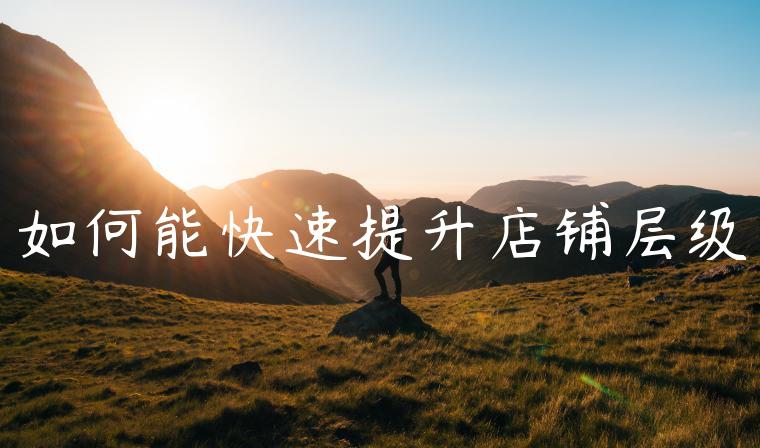 如何能快速提升店铺层级