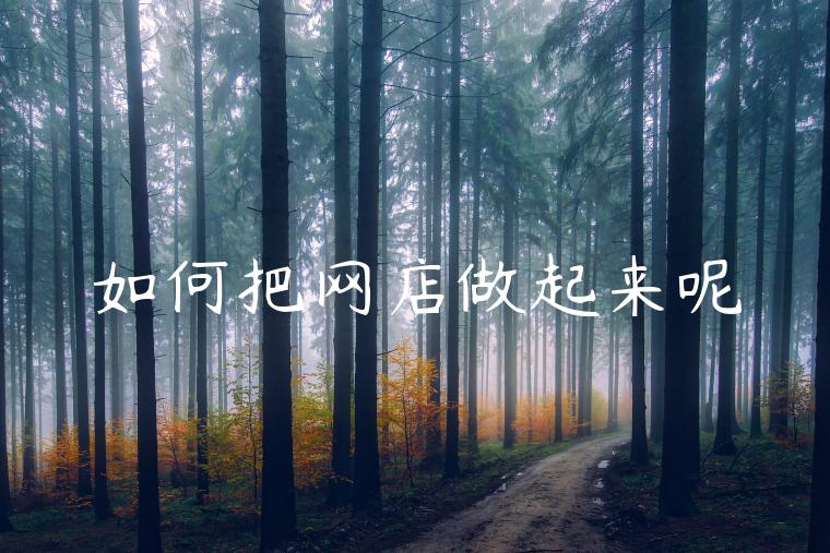如何把网店做起来呢