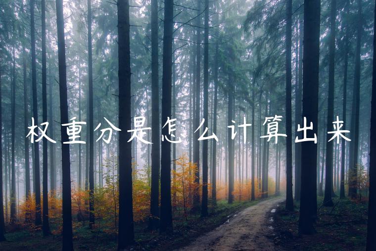 权重分是怎么计算出来