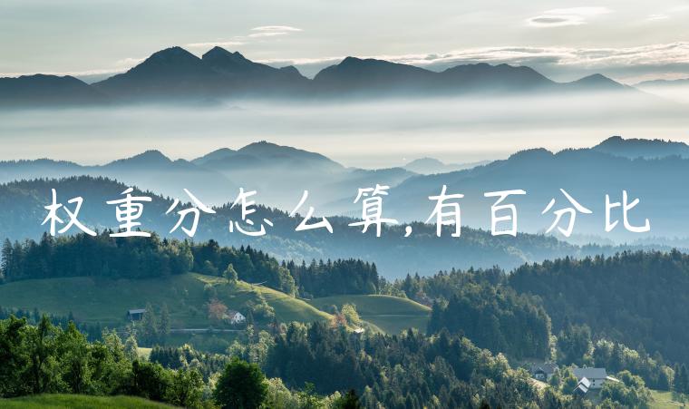 权重分怎么算,有百分比 权重分怎么算,有百分比