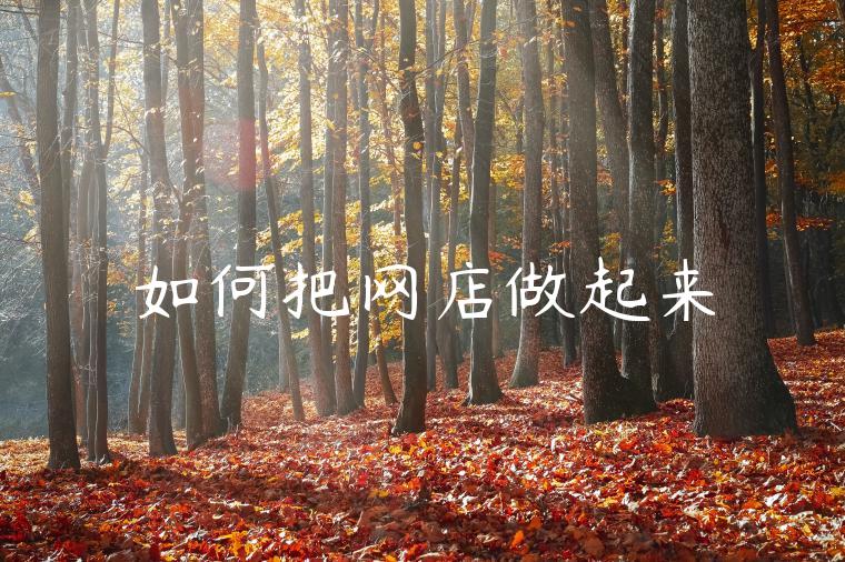 如何把网店做起来 如何把网店做起来