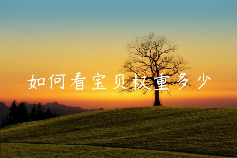 如何看宝贝权重多少