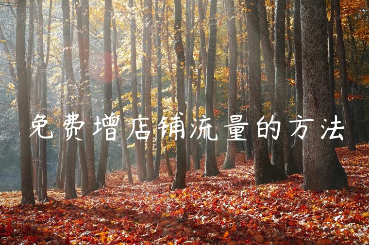 免费增店铺流量的方法 免费增店铺流量的方法