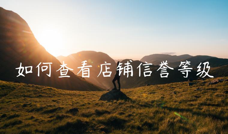 如何查看店铺信誉等级
