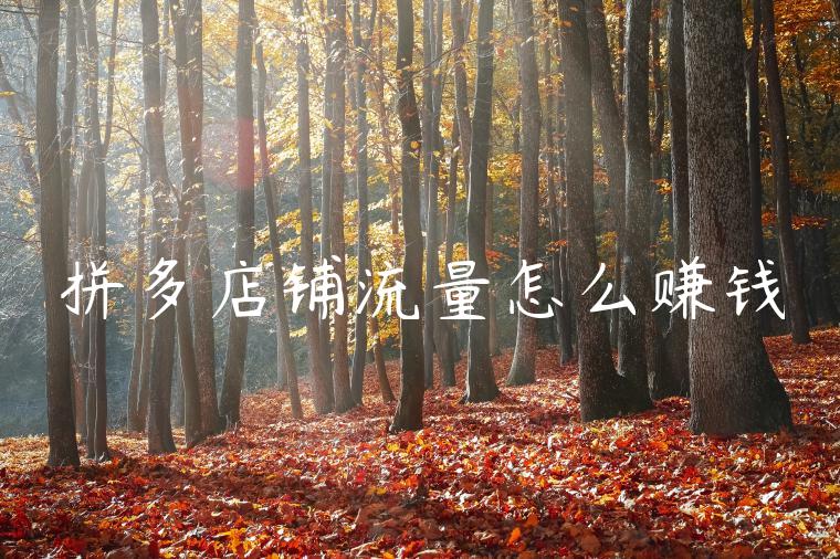 拼多店铺流量怎么赚钱