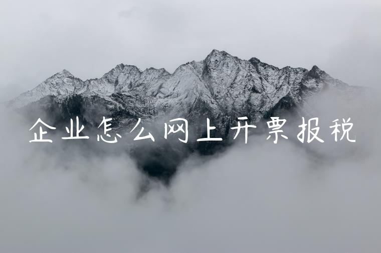 企业怎么网上开票报税